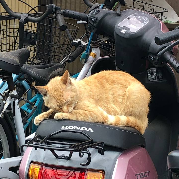 C380b7cb 4c02 48bd bfbd a2567fb7cbd7 1561285526275