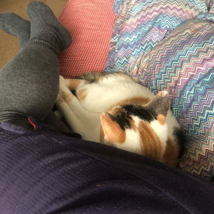 C380cfe6 9779 4d74 8526 258db34e85d5 1599377921983