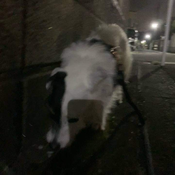 C380db25 a9c7 4145 a7ed 92d4d878592a 1683376619486