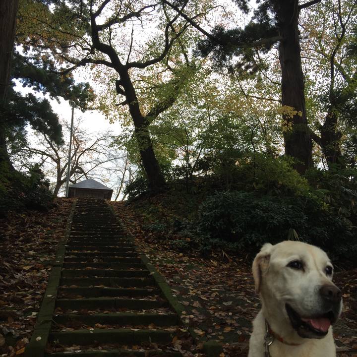 C380ea45 954b 439d bb51 83689144964f 1542152159578