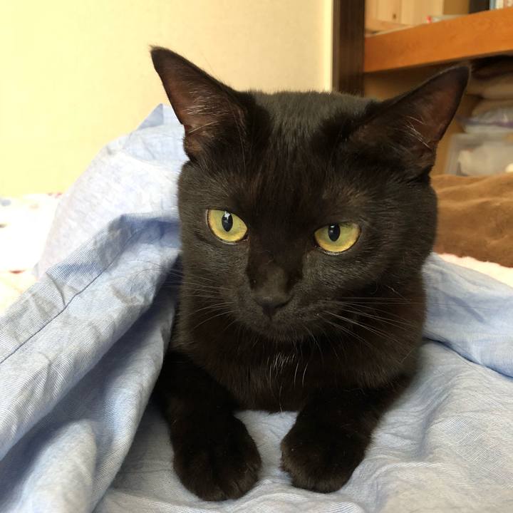 C3811550 8798 4e3c 96a4 90dfe355717e 1533698894379