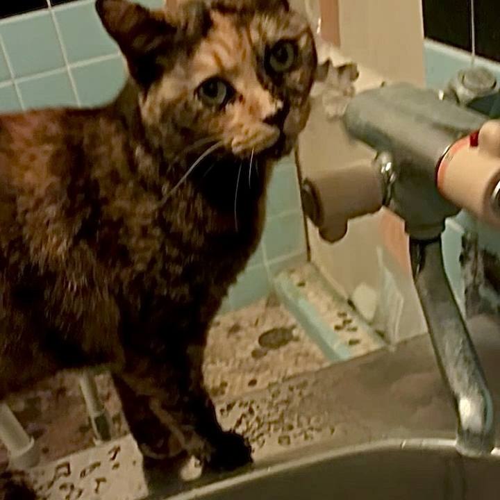 C38141cb 4420 47bf a9b2 ebadbcb65a8e 1762720765096