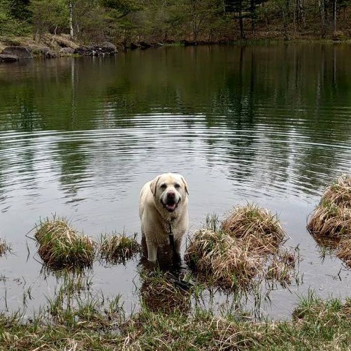 C38183fd 290e 41b4 a37f f191efc9b2c6 1747564867808