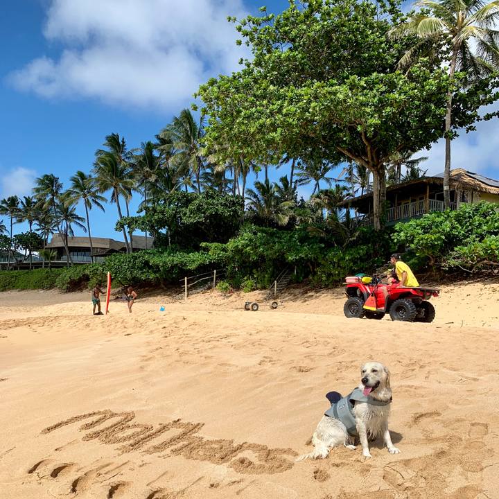 C3818f9d a4c2 4db0 a7ab c2becce29770 1565149171201