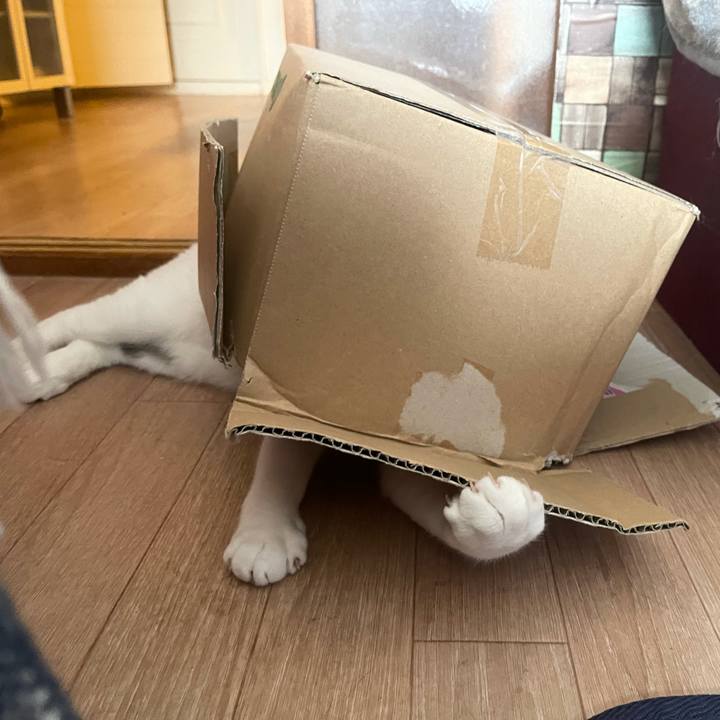 C3818fe4 a16e 4fb9 a9c4 fb38f3a134c8 1628649519253