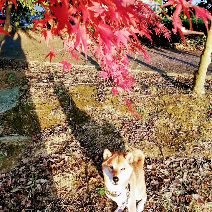 C381cc63 281e 4454 b007 9bb8a6fbdada 1607240686444