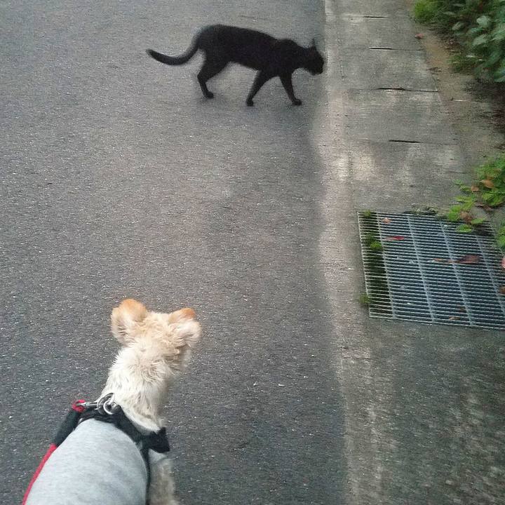 C381ff04 4b44 45c3 ae9d c48c41cc51b1 1593694793640