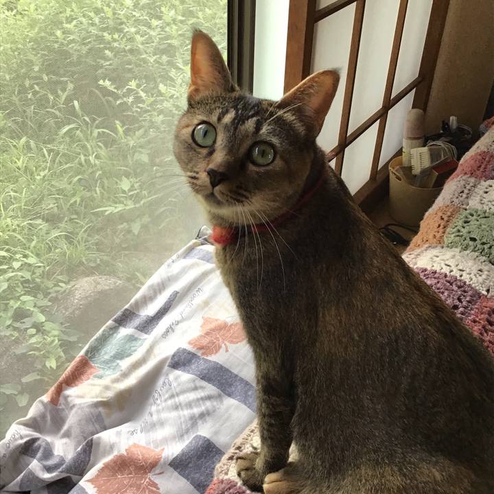 C38238cf 8855 4a6c a38e 64191b71370a 1600321547506