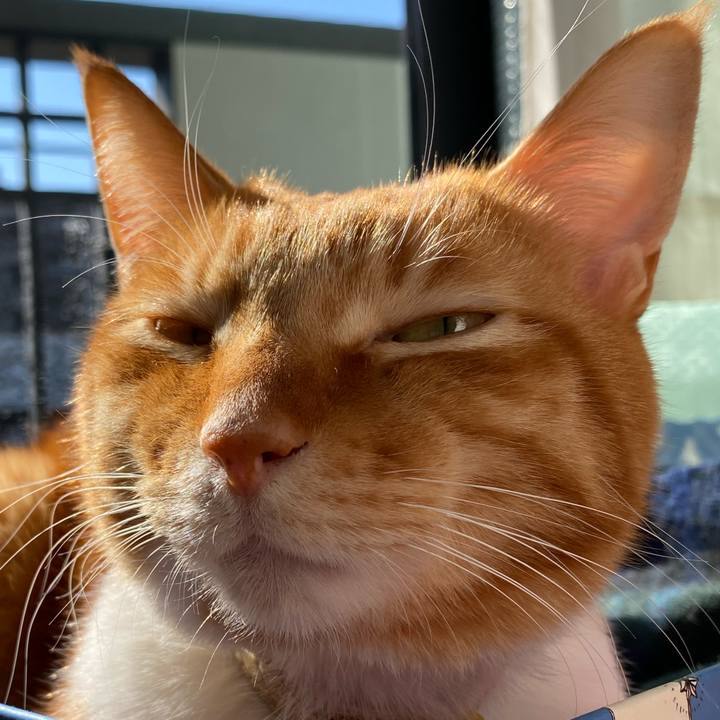 C382607a db20 4c12 8202 f2226698fc26 1612580045678