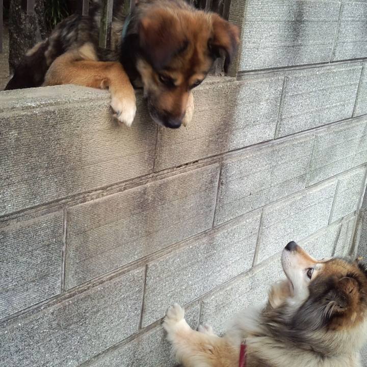 C3828e42 33f4 42c7 b810 4d88f2288015 1577141720558