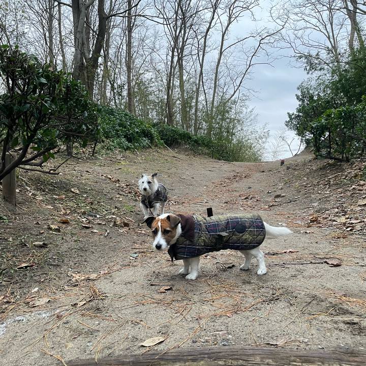 C382916d b179 4fb5 993f 66ea4b37e710 1766534429782