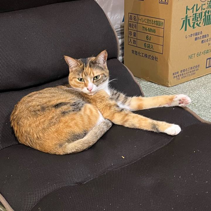 C382c762 77a3 43a4 a28e b08a8fb6378f 1708351142589