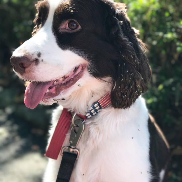 C38311be dfb8 49b3 8a97 749fedd0e056 1509852185748