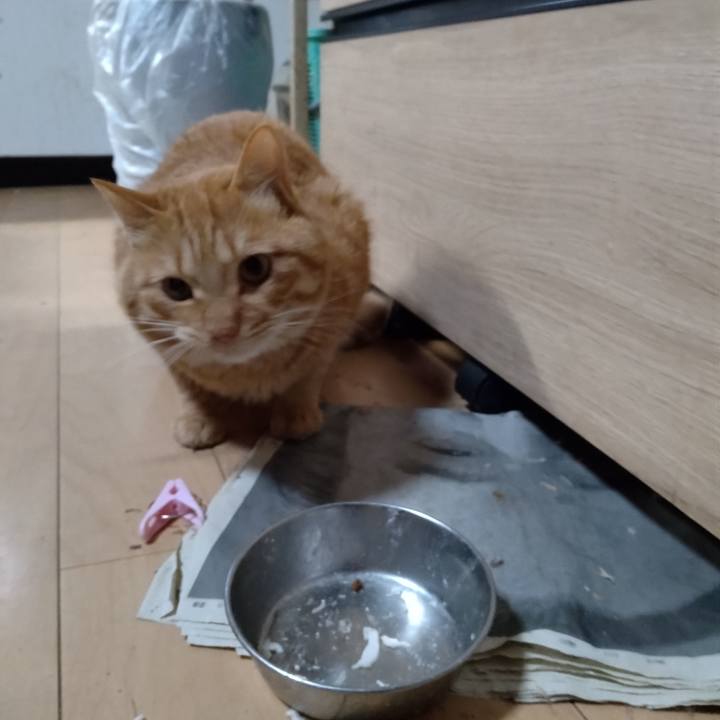 C3831ba3 3ea0 4a2d a6b2 62a47ad6447c 1671147806166