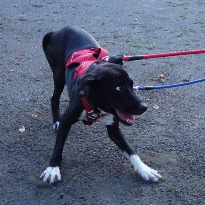 C3832d9d 3c13 4ab5 b842 be1f384c3af8 1592218849507