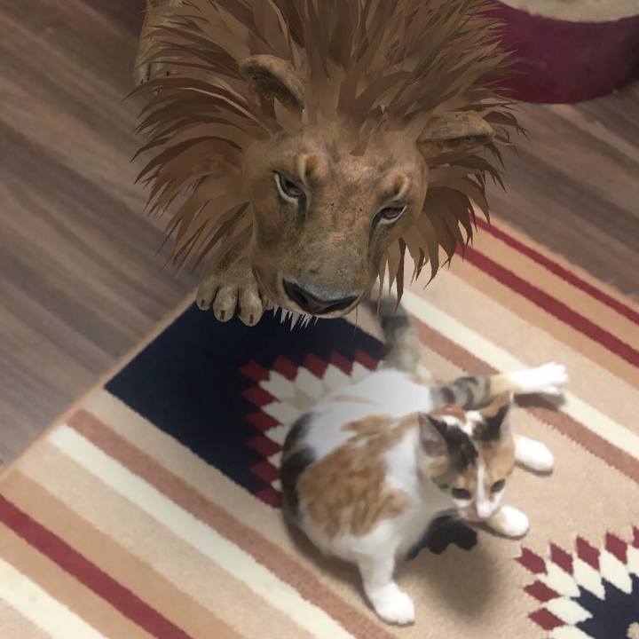 C383b475 e7f0 4028 b2b6 8f1f9ce4ae3c 1569846987855