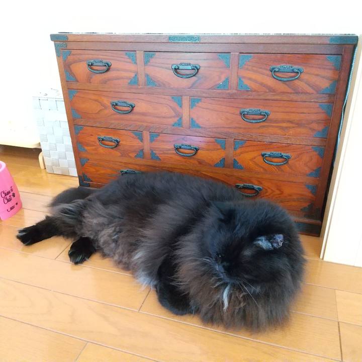 C38445e5 8525 454f b18f 2ae07260d005 1698123507309