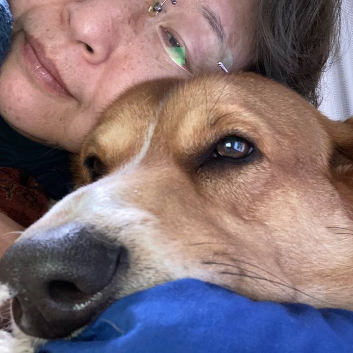 C3846167 2c3d 40ec bdb8 8f47795e727d 1670372024867