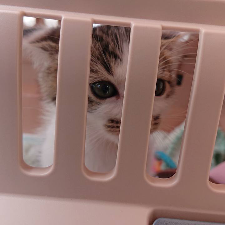 C3846fc7 acba 422e 850a 317b984c13d6 1539394297555