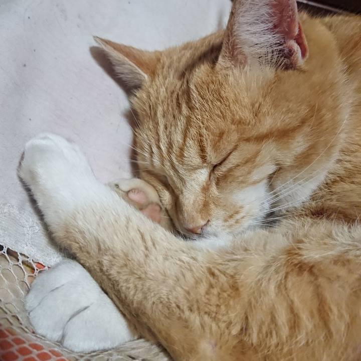 C384713f 86cf 4f8b 8c50 7f9af7934425 1585915067393