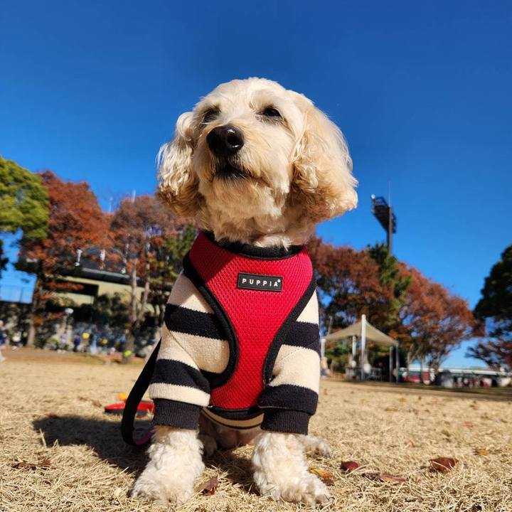 C3849460 2058 40d3 b63f 3a25af29b58b 1764388803171