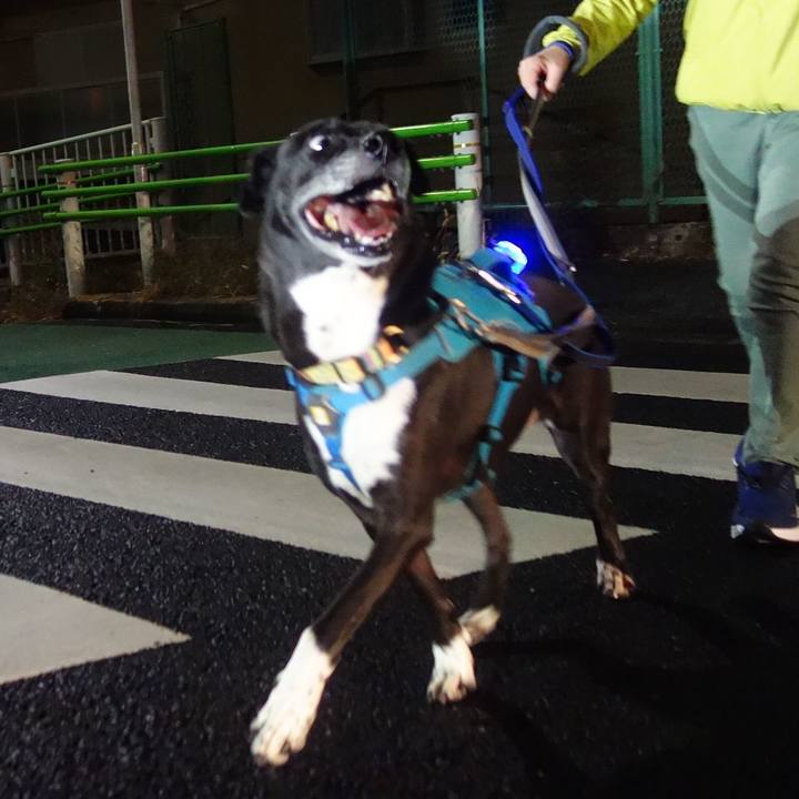 C3849c06 bec1 4c90 911d 3a8b2620f68f 1698490880925