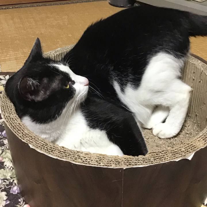 C384e870 78c3 47ea b27b 756c9aaac4c2 1718621436205