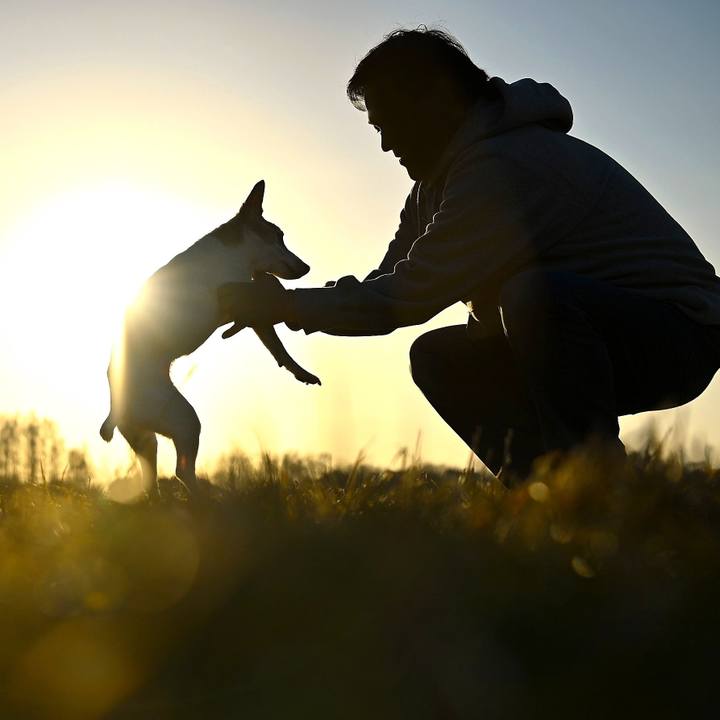 C3850c88 3d1e 49dd ae0c 04fb09564a28 1768660582276