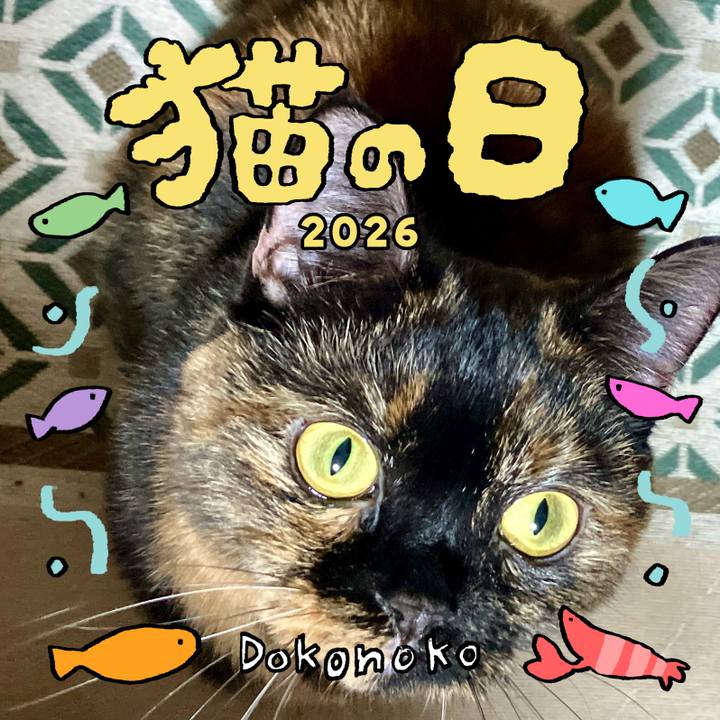 C3851b2f 8dbb 4979 8fac 5782d09074b2 1771723537932