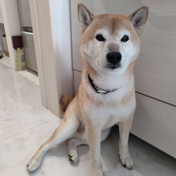 C3853300 5d63 4c57 8700 29537aaff225 1631259089381