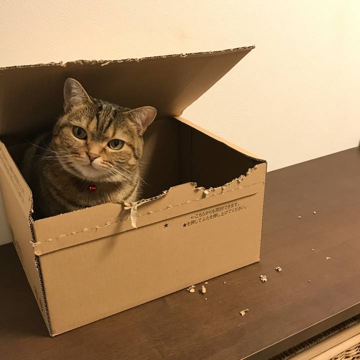 C3853aa4 66c9 4f4c 93ea 988a9c11091a 1516975166517