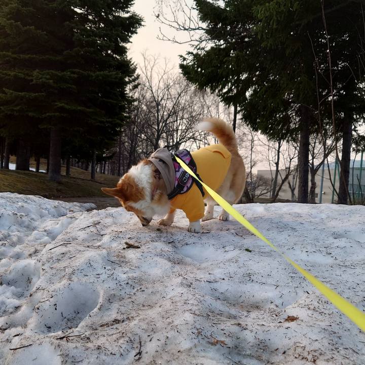 C3854c2f 4944 47be bccd 76f0800fcde3 1774828035675