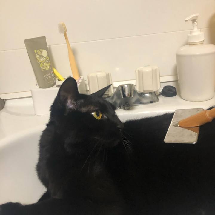 C3855785 7af2 4af3 8da3 66352af32563 1551184427415