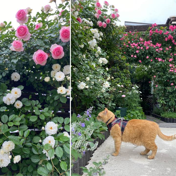 C3857fae b981 4b8a 92e6 94c689c33286 1684884980066