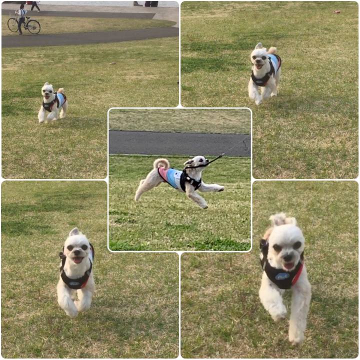 C385c288 9264 4a5a a15a 23e413edb0fc 1555854032695