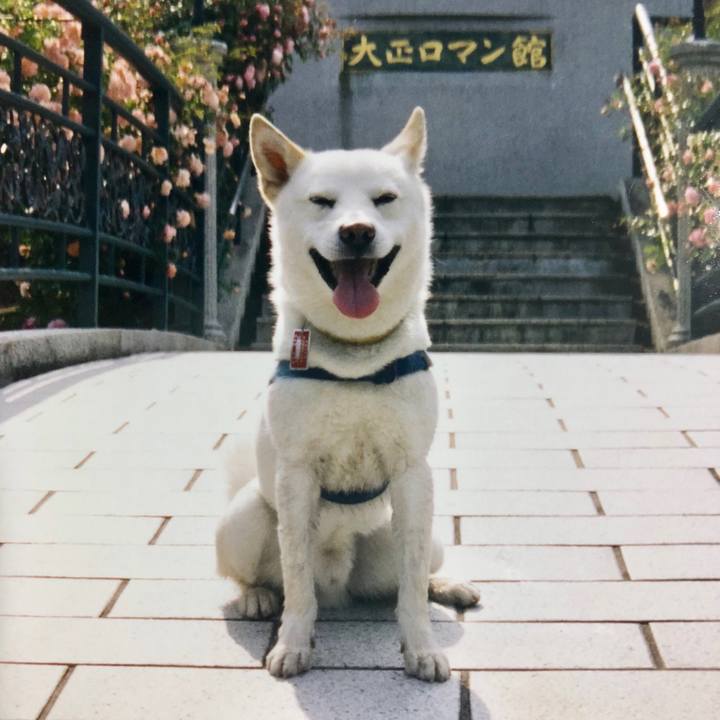 C385fa5d 8236 43e0 ab92 b25c8023bcc3 1536826588125