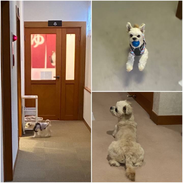 C385fe0e db7d 4c0e 8397 c9e6a6f723bc 1574594349899