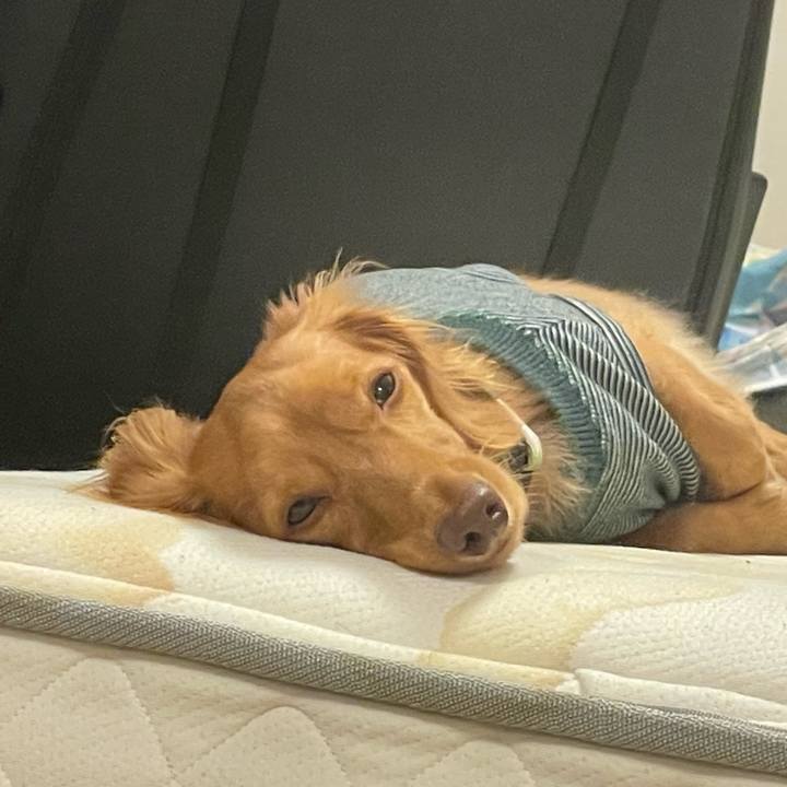 C385fee3 e005 4822 9df3 f73a70d16dc8 1761357022482