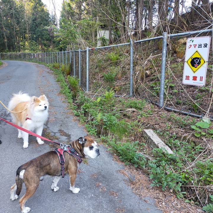 C3860d22 eefc 45d8 9f2b 94e94feeb9f7 1653574178707