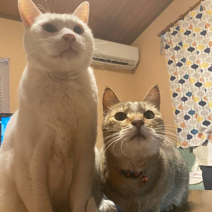 C38614af c93b 4b87 811c 508f0a7d1fb4 1675719026183