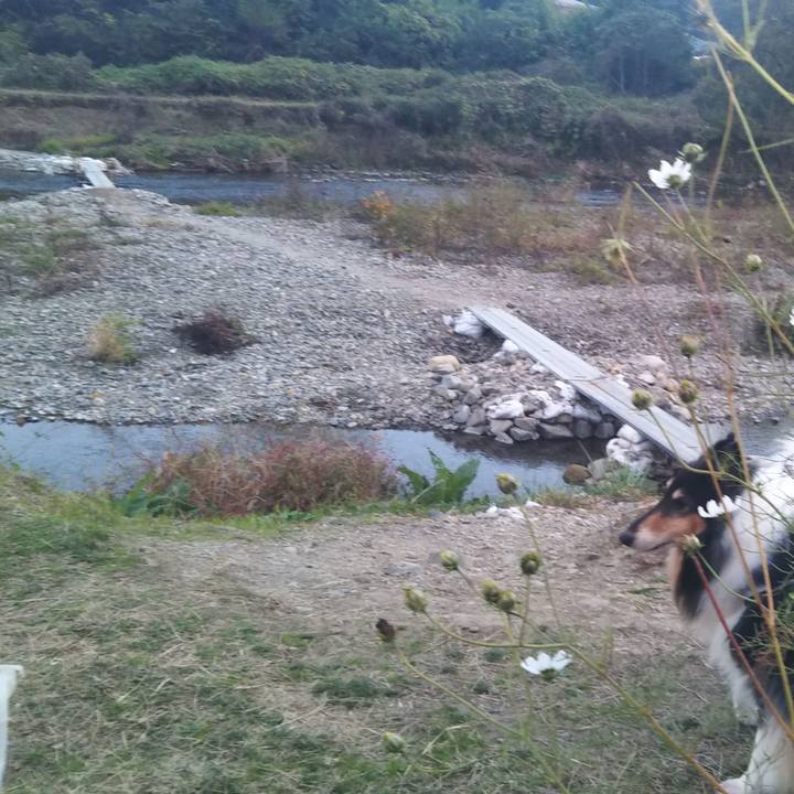 C3862746 ca3f 4148 83ee 2c31dd1e7535 1605173519356