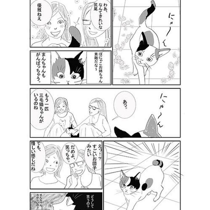 C38647a2 eefd 4833 93a3 be79464a148b 1598877069260