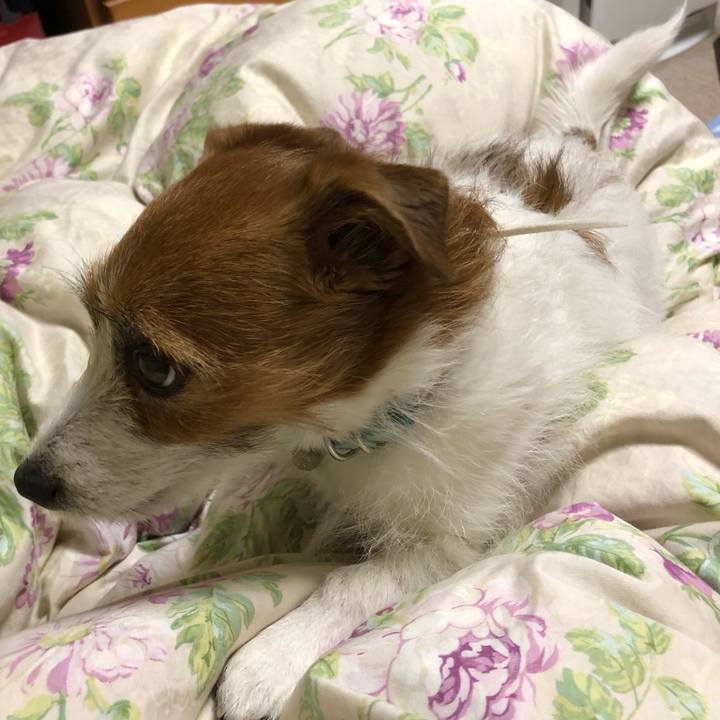 C386d1b3 9554 41e4 b756 62239b512b6f 1555848563120