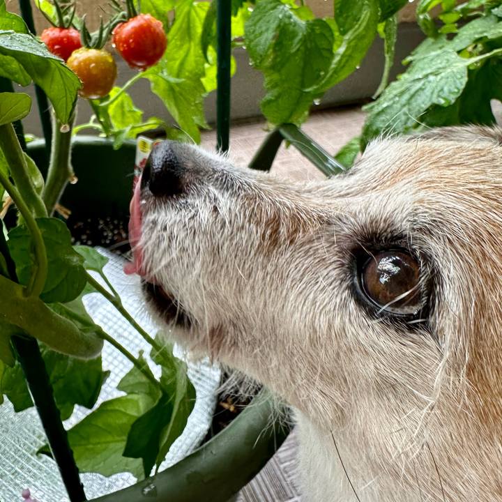 C386f953 887e 4759 a26c 70b986d4fcfb 1718531763317