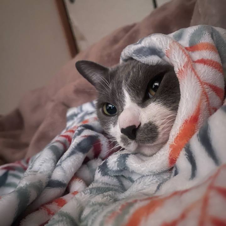 C386ff26 6ede 489a 93de d7feb8e43e8d 1704753788901