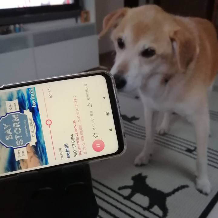 C387108e b173 45a6 801b 849032d32579 1631520510799