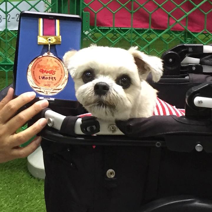 C3871742 2ae7 4bb0 adb5 5a5cec7f5891 1522412095986