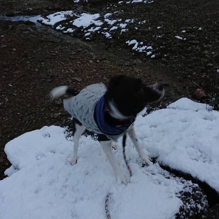 C3872051 a0ab 475c ae6b 37b8b7b00584 1548490999284