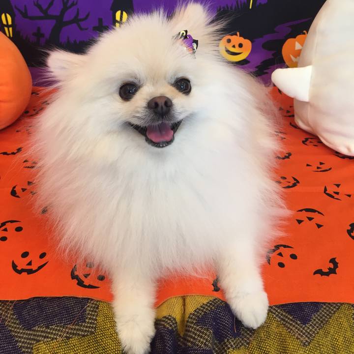 C38740ea fef3 4be6 952a 5903d1a6e099 1603343155515