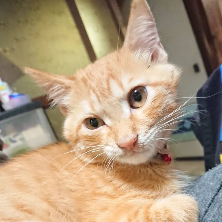 C38741ce 36cc 4b0f b09a 7e2536372f3c 1632650885403